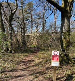 islandrestrictionimage